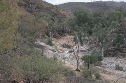 arkaroola-017-medium