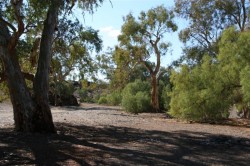 blinman-to-arkaroola-014-medium1