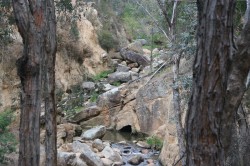 Eroded Reedy Creek and Tunnel Med