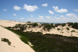 20161123-coorong-dunes-med