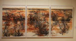 20170716-4035 Broken Hill Art Gallery Med