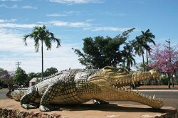 20140713-8.8 Metre Crocodile at Normanton Med