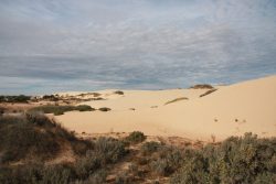 20170713-4003 Sand Dunes Behind Walls of China #3 Med